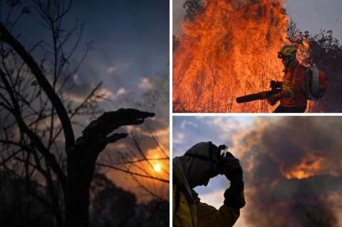 El Pantanal, el mayor humedal del mundo, registra uno de los peores incendios
