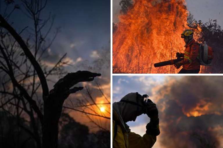 El Pantanal, ubicado en su mayoría en Brasil, se caracteriza por ser el mayor humedal tropical del mundo y uno de los santuarios de biodiversidad más importantes.