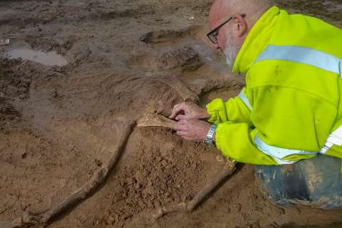 Arqueólogos y voluntarios trabajan para hallar restos de la batalla de Waterloo