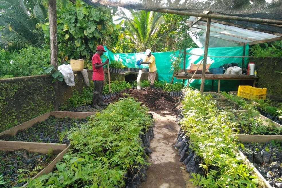 Los habitantes ya han plantado 48.400 árboles.