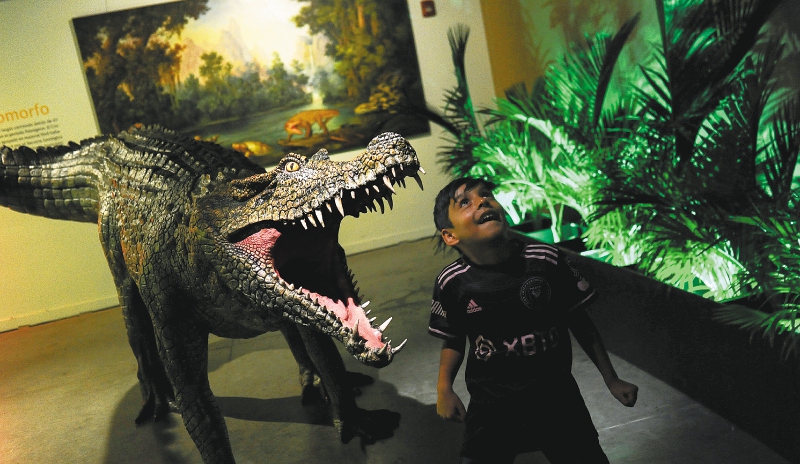 Dinosaurios entre nosotros y Colombia, el país con más dinosaurios de la Tierra, exposición en la Universidad de los Andes