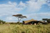 Cómo empacar para un safari: consejos útiles y esenciales