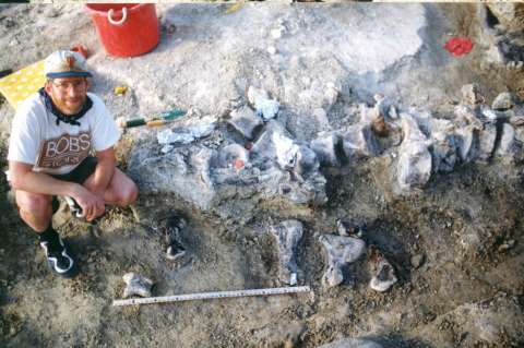 Investigadores descubren la huella de dinosaurio más grande jamás encontrada