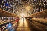 Tres destinos imperdibles en Colombia para encender la Navidad