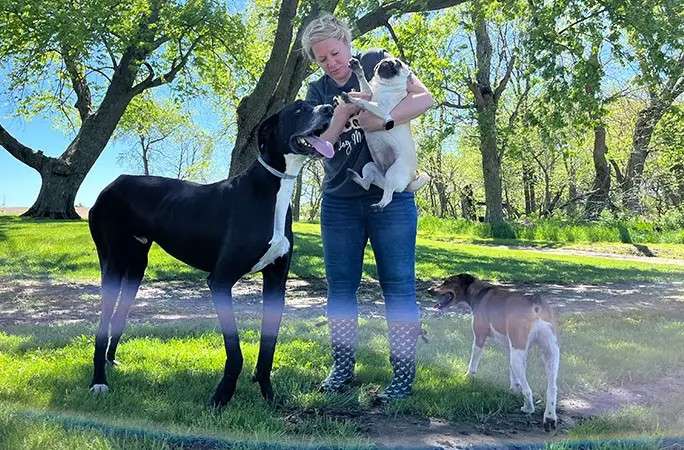 Kevin, el perro más alto del mundo, según Guinness World Records.