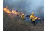 Emergencia ambiental en Cali: incendio forestal completa más de 40 horas