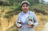 La miel volvió a unir a la gente en Chengue (Sucre)