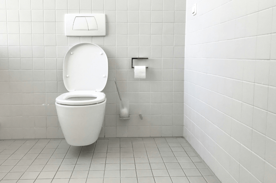 Inodoro, taza del baño