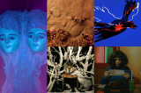 “Cuerpo de un Tercer Mundo”: muestra de animación en la Cinemateca de Bogotá