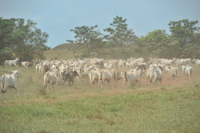 Minagricultura le apuesta a la equidad en el campo