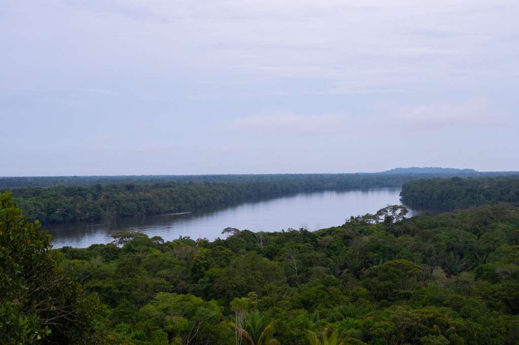 La biodiversidad es uno de los aspectos que mejor definen el territorio vaupense. Selvas, bosques, sabanas, serranías, ríos, afloramientos rocosos.