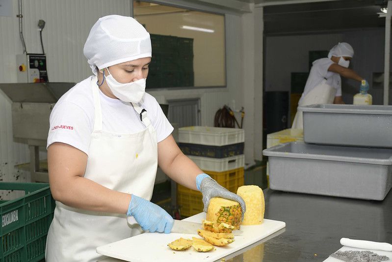 De acuerdo con análisis de empresas atendidas por Colombia Productiva, implementar estándares de calidad ayuda, por ejemplo, a aumentar el nivel de control de los procesos de producción hasta en 75 % o a reducir los productos con defectos hasta en 50 %. / Cortesía
