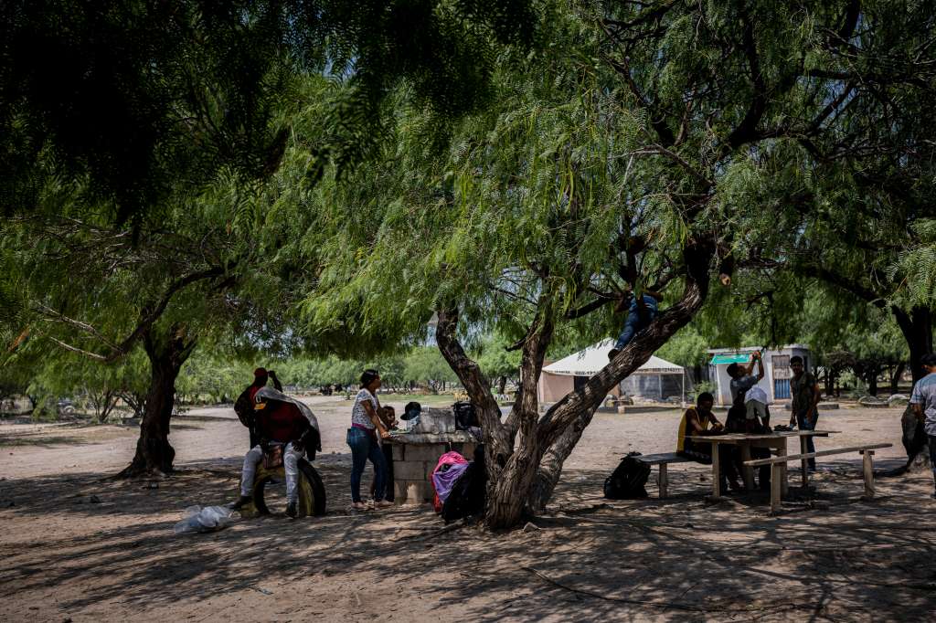 Familias esperan a la sombra de un árbol la oportunidad de ingresar al albergue para migrantes "Senda de Vida" en Reynosa, México. No hay suficiente espacio en los albergues locales, por lo que muchos migrantes se ven obligados a dormir al aire libre, en la calle o en campamentos improvisados.