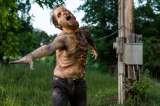 "The Walking Dead" tendrá una tercera serie inspirada en su universo