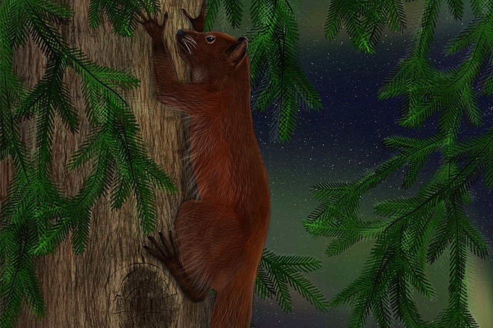 Un artista realizó la reconstrucción de cómo era el Ignacius dawsonae, que sobrevivió en los bosques cálidos pero oscuros de la isla de Ellesmere.