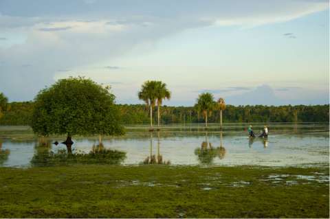 Sabanas inundables, el tesoro de la Orinoquia