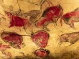 Descubren que el arte rupestre de una cueva en Francia es más reciente de lo que se creía