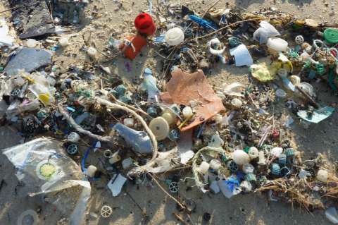 Aumenta la contaminación de plástico en aguas del Ártico, según un estudio