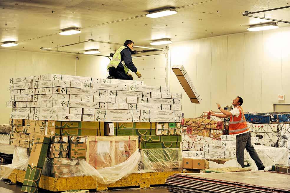 Desde el peso de quien organiza las cajas hasta acomodarlas según el tamaño de las cajas: cada detalle es vital en la industria aérea de carga.