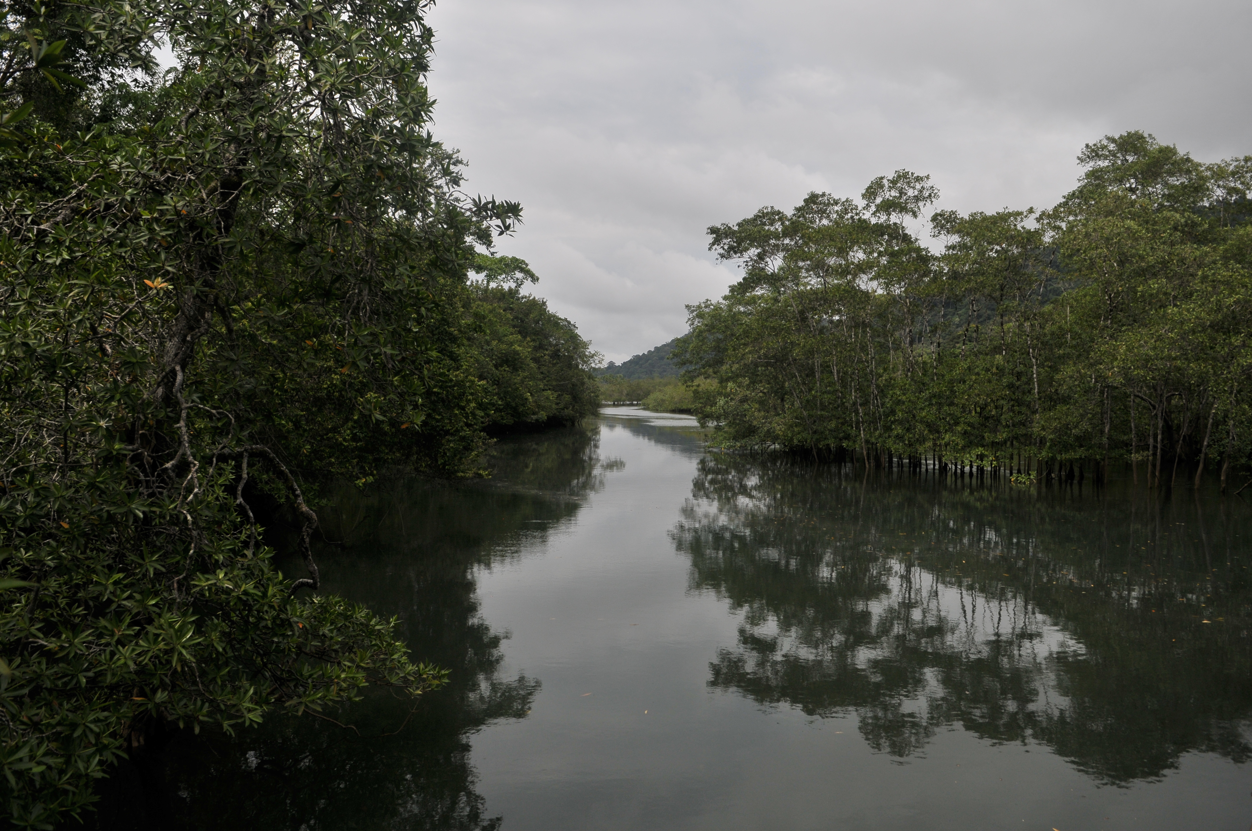 Parque natural del departamento de Chocó
