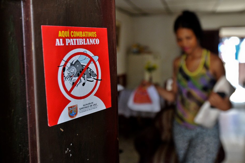 El virus del zika está presente en 235 municipios de Colombia. / AFP