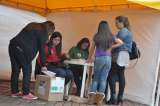 Horarios de los jurados de votación en 2026: ¿a qué hora salen?