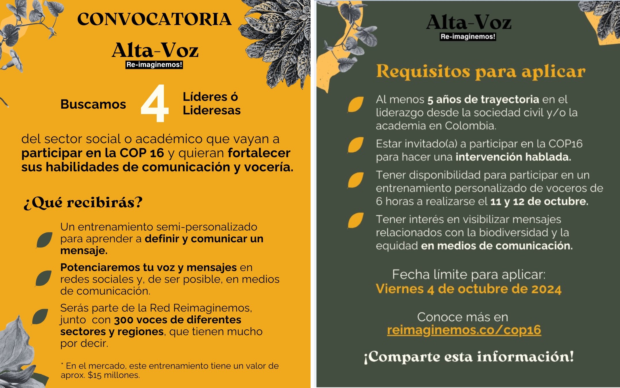 Convocatoria Alta Voz Reimaginemos para un entrenamiento a voceros que participarán en la COP16 en Cali.