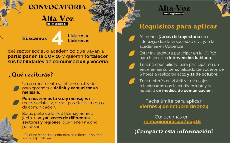 Participe en “Alta-Voz”: entrenamiento gratuito para voceros en la COP16
