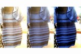 ¿Por qué vemos distinto el vestido?