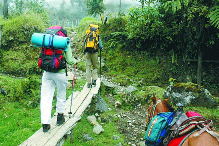 “Raíces”, la ruta de la muerte