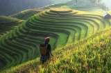 Científicos logran que millones de chinos potencien sus cultivos sin tantos fertilizantes