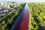 Las aguas de un arroyo de Buenos Aires bajan teñidas de rojo
