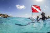 Curazao, el destino ideal para los amantes del buceo