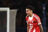 Wolfsburgo vs. Bayern Múnich: hora y dónde ver en vivo el partido de Luis Díaz