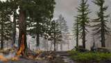 ¿Cuál fue el rol de los incendios forestales en la mayor extinción en la Tierra?