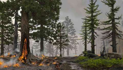 El mercurio podría ayudar a explicar la mayor extinción en la Tierra