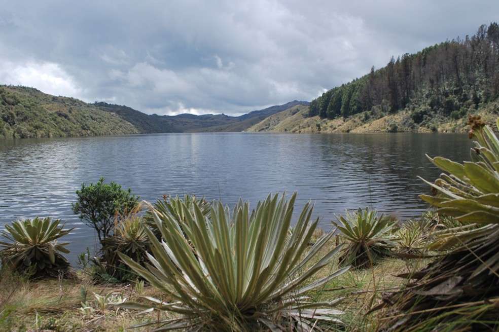 El páramo de Rabanal abastece de agua a las cuencas del embalse La Esmeralda, una de las fuentes empleadas para producir energía.