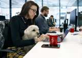 Estos son los beneficios que tendrán los trabajadores con mascotas tras cambios laborales