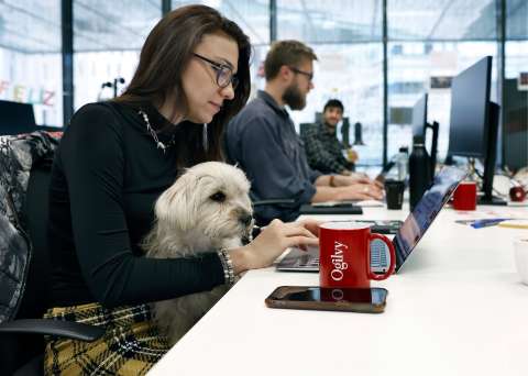 Estos son los beneficios que tendrán los trabajadores con mascotas tras cambios laborales