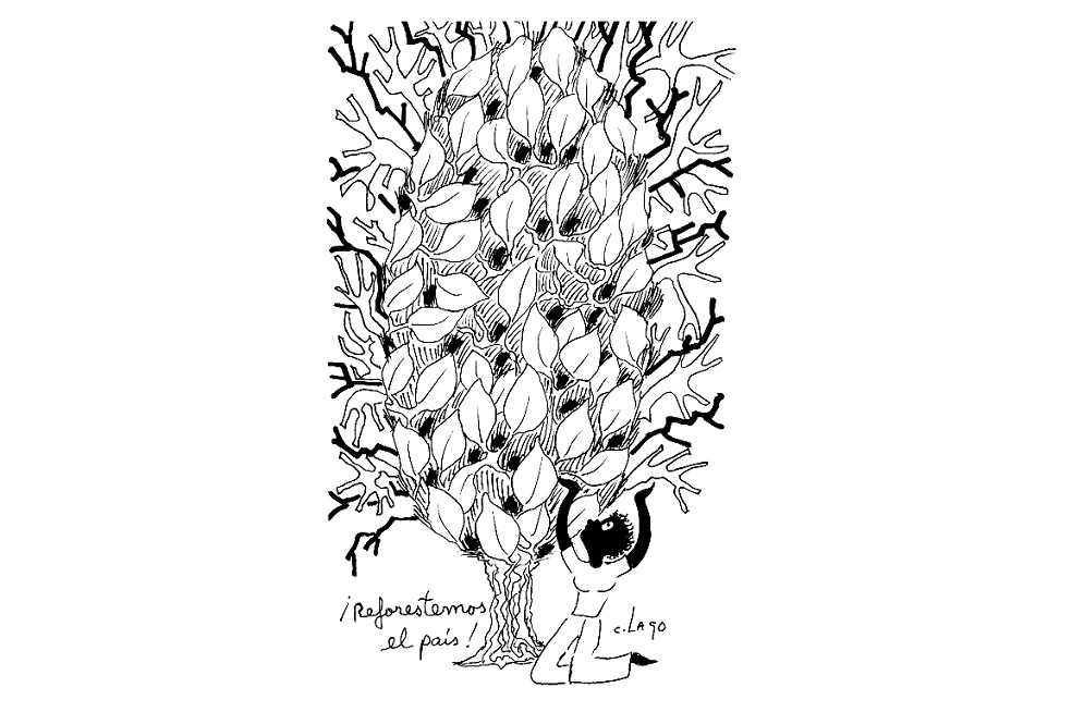 Reforestemos