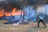 Ola de incendios en Brasil llega al Parque Nacional de Brasilia