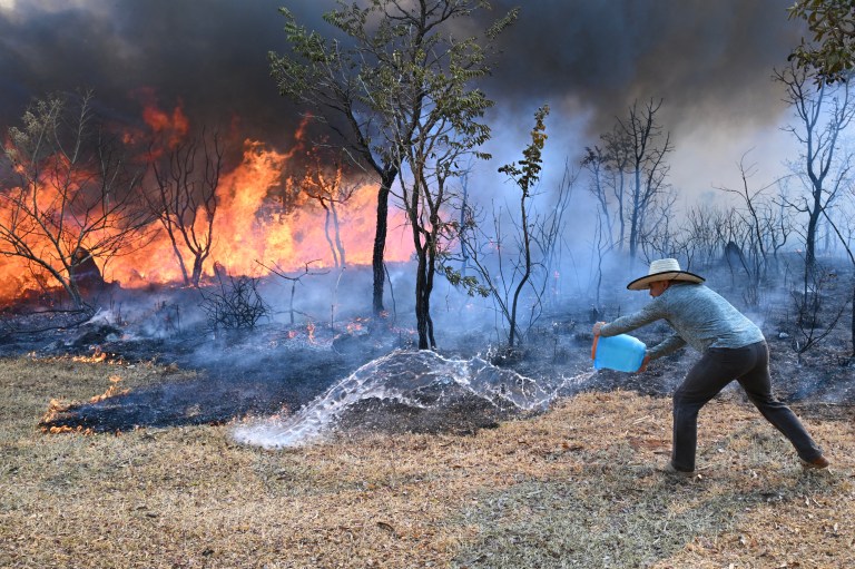 Ola de incendios en Brasil llega al Parque Nacional de Brasilia