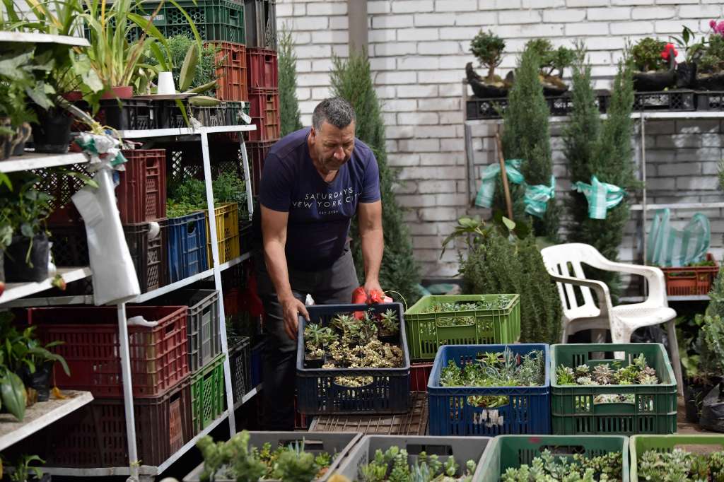 Es el segundo Mercado de Plantas Ornamentales más grande de Latinoamérica después de Brasil.