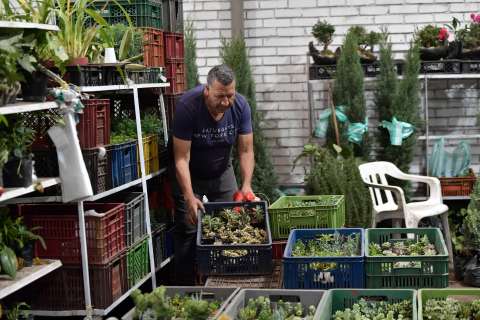 Feria Blumen: prográmese para el mercado de plantas que estará en Bogotá