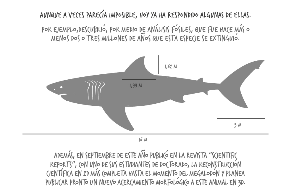 Catalina pimiento megalodón