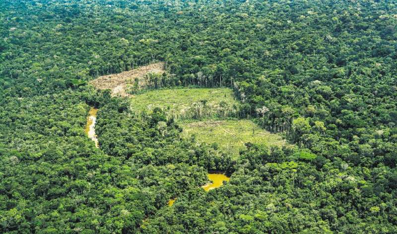 Según la Unidad de Restitución, en los últimos 10 años la deforestación ha afectado casi un 30 % del resguardo Nukak.