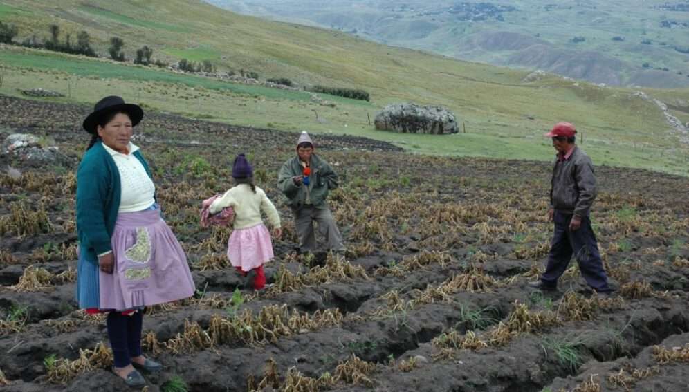 Una mutación genética permite a pobladores del centro del Perú vivir a más de 4000 metros y abre perspectivas de tratamiento para enfermedad crónica de altura.
