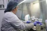 SIC confirma multa de COP 4.614 millones por vender medicamentos hasta 7.001 % más caros