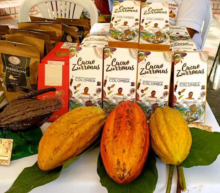 Un reconocimiento a las cacaoteras de Rionegro, Santander