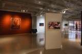 Clemencia Echeverri reflexiona con jóvenes artistas sobre crueldad animal en esta exposición